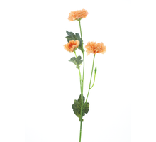 Dendranthema Spray Orange 58cm
