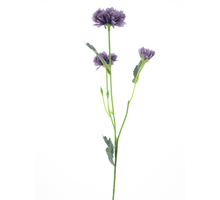Dendranthema Spray, lila, 58 cm