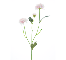 Dendranthema Spray Rosa 58cm