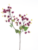 Mini Physalis Spray Rot 92cm