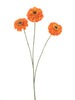 Zinnia elegans spray orange 60cm