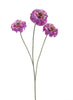 Zinnia elegans spray purple 60cm
