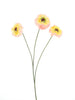 Zinnia elegans spray pink 60cm