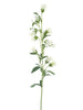 Campanula spray cream 88cm