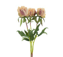 Paeony Marlie bundle a 3 pcs peach 48cm