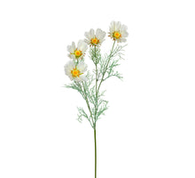 Cosmos l78cm creme