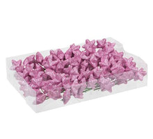 PET 18x6 Glitzersterne/Draht rose blush 40 mm