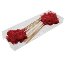 PET 24 glitter cones/loose star dust 4,5cm