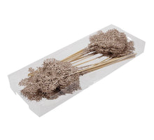 PET 8 glitter flowers/wire star dust 10 cm