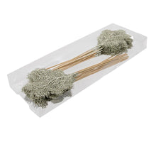 cb. 16 Pfauenfedern natur 20-25 cm