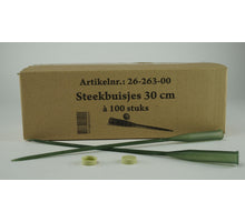 Box mit 100 Anthurium-Steckröhren 30 cm