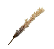 pb. Birke Kiefer natur 500gr.