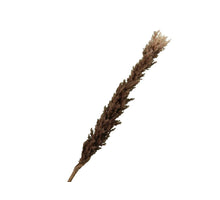 pb. Birke Kiefer weiß Spitze 500gr.