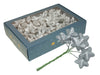 w/b. 18x6 sparkling stars/wire silver 40mm