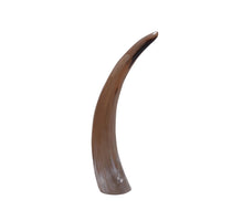 Cow horn 40cm Natural
