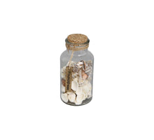 Glass bottle with shells 8.2x8.2x17cm Natural