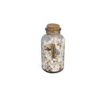 Glass bottle with shells 10x10x21cm Natural