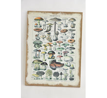 Leiter braun meliert 120cm x +/- 35 cm 4 Stufen