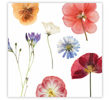Päckchen à 12 Geschenkkarten Le Jardin Blanco