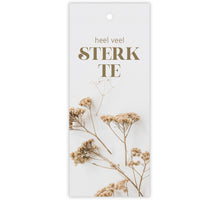 Packung à 12 Geschenkkarten Pampas Viel Glück