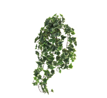 Ivy Chicago Hängepflanze XL, panaschiert, 100cm (259 Blätter)
