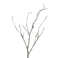 Holzzweig Cordata 95cm