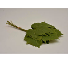 Maple leave bundel x6 green