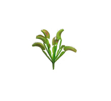 Seidenpflanze „Dionaea Busch“ grün 25cm