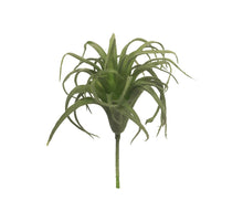 Ranunkelspray mit Knospe creme 46cm