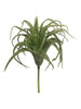Ranunkelspray mit Knospe creme 46cm