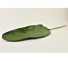 Coryllus flower grey green 80cm