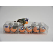 cb. 12 Vögel orange/blau 9cm