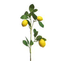 Seed fruit bundle x5 green 58cm