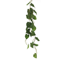 Anthurium alba Girlande grün 109cm