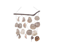 Bambusboot mit 3 Arten von Muscheln 150gr jede 15-18x5cm