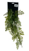 Maidenhair fern small on hang card green 50cm