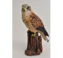 Metalen houder zwart met 1 accuglas 9x9x8cm