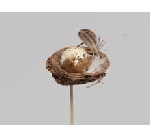 Box Mit Nest Und Wachtel Ei Auf Holzstöckchen - 12 Stück