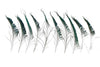 Pfauenfeder 25-30cm 10 Stück Natur
