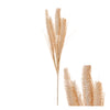 Stängel-Brunnen Gras 12x12x58cm Beige