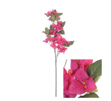 Blütenstängel Bougainvillea D20 H76cm Fuchsia