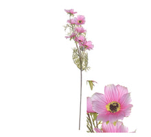 Blütenstiel Cosmos 72cm Rosa