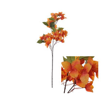 Flowerstem Bougainvillea D20 H76cm Orange (Blütenstängel Bougainvillea D20 H76cm Orange)