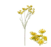 Blumenstängel Fenchel 18x7x61cm Gelb