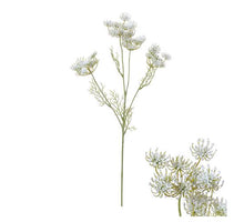 Blumenstängel Fenchel 18x7x61cm Weiß