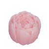 Aroma peony rose Ø6,5 h.5,5 cm rose