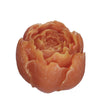 Aroma peony rose Ø6,5 h.5,5 cm sandal wood
