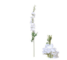 Blütenstiel Delphinium D10 H80cm Weiß