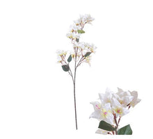 Flowerstem Bougainvillea D20 H76cm Weiß