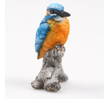 VOGEL EISVOGEL AUF BAUMSTAMM 7X7X11,5 CM - POLYESTER